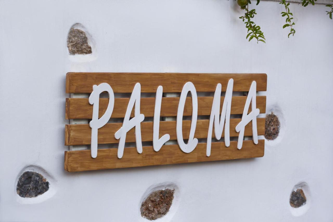 Paloma Luxury Studios Panormos  Dış mekan fotoğraf