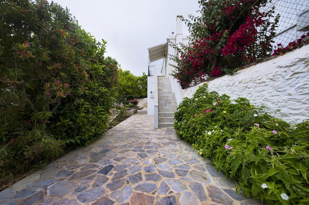 Paloma Luxury Studios Panormos  Dış mekan fotoğraf